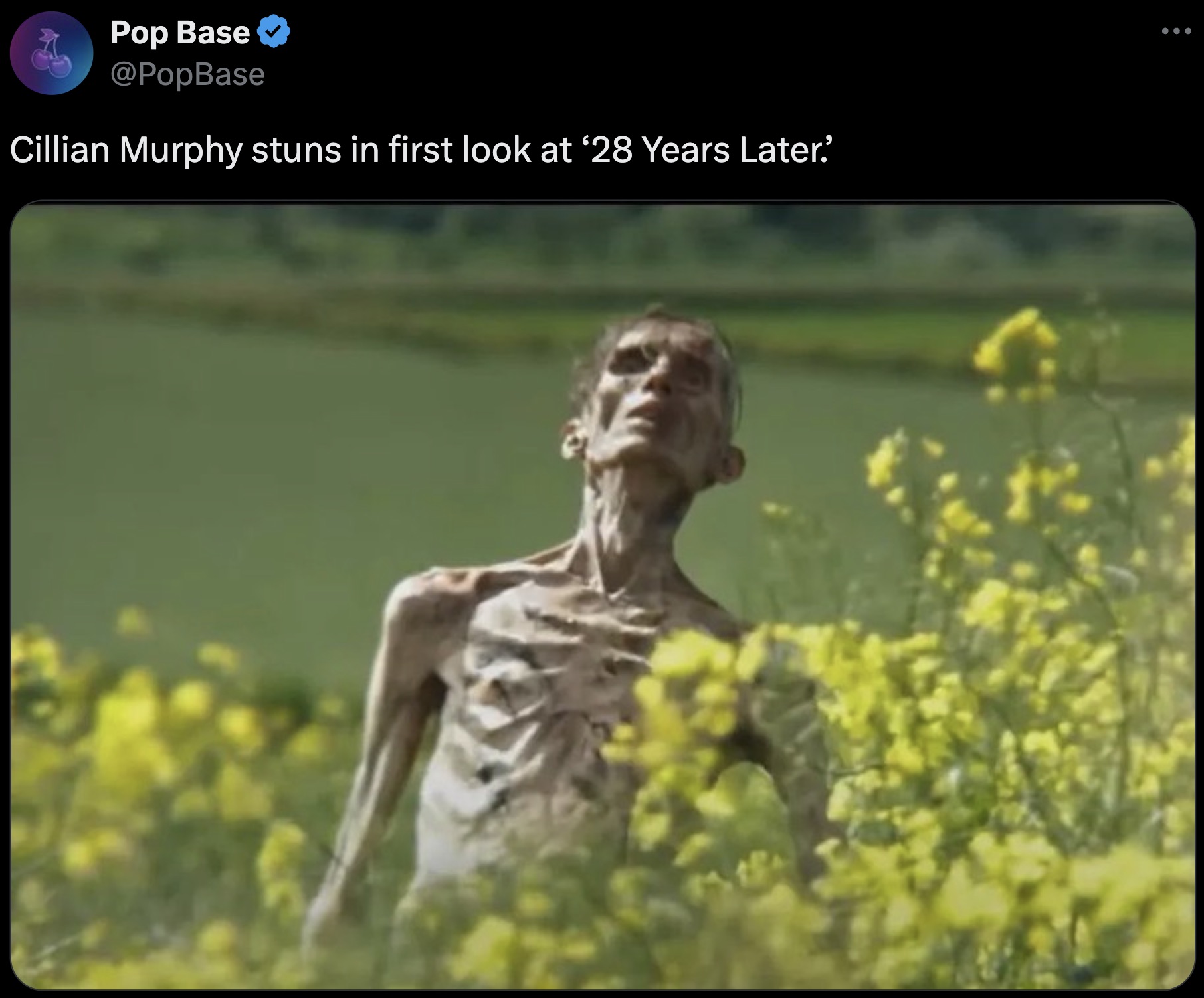 28 Years Later - Pop Base Cillian Murphy stuns in first look at '28 Years Later.'